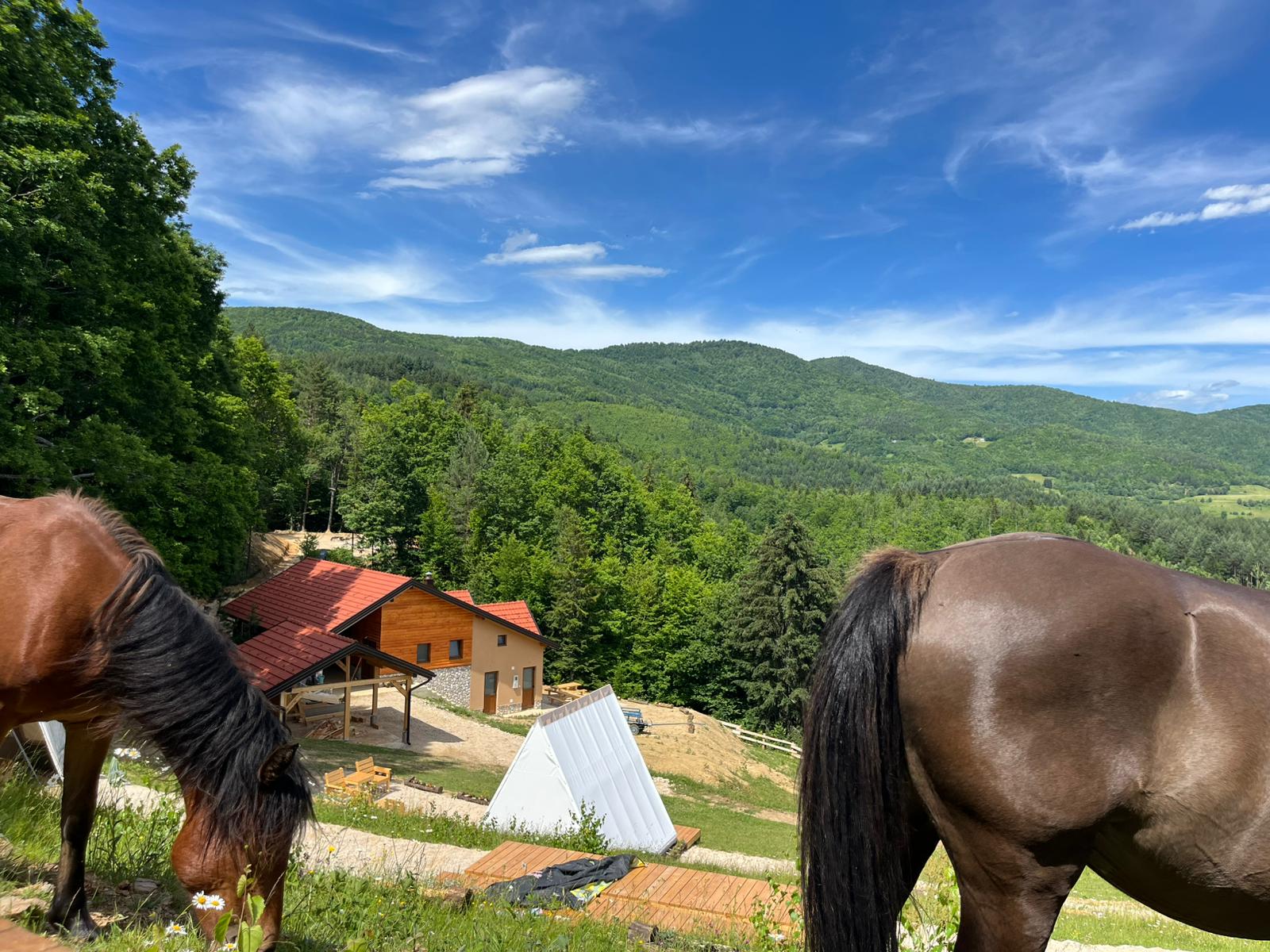Konji i glamping šatori s pogledom na planinu