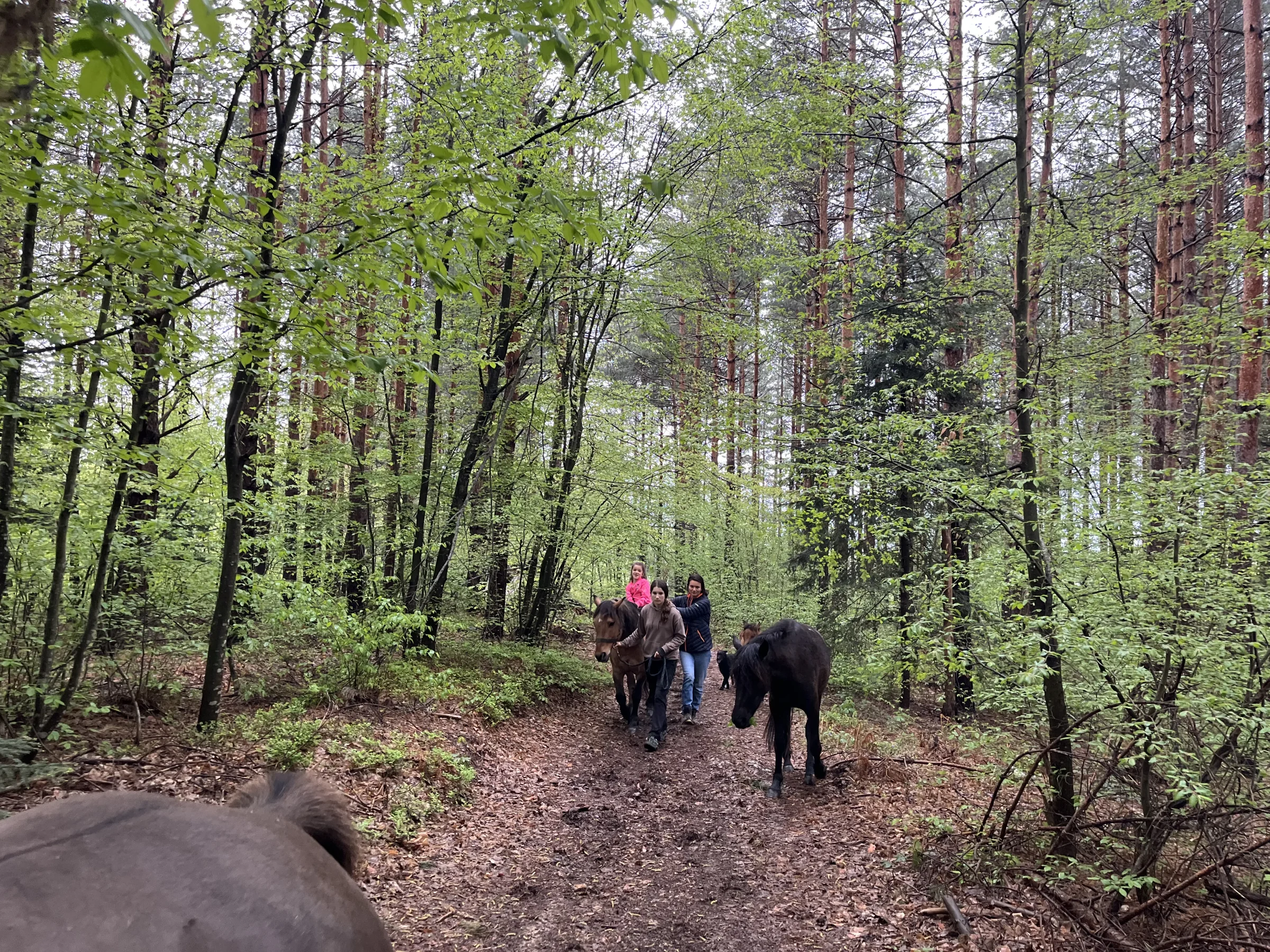 Planina Vranica, Fojnica